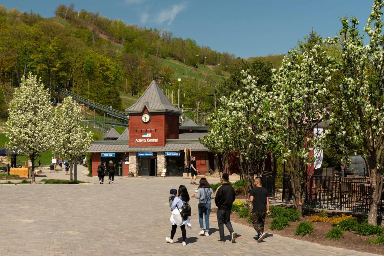 Blue Mountain Resort Home Collection Blue Mountains Eksteriør bilde