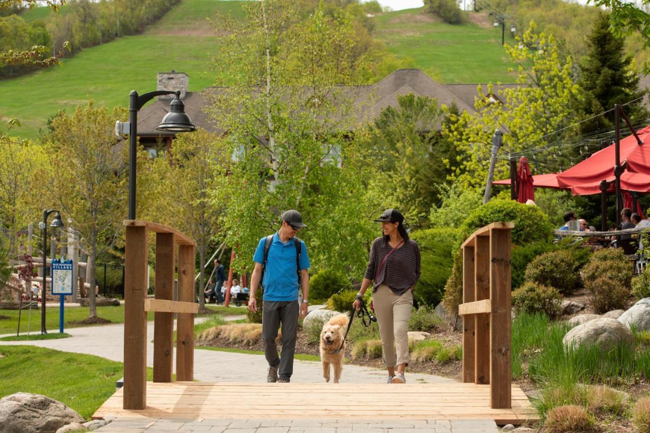Blue Mountain Resort Home Collection Blue Mountains Eksteriør bilde